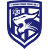 Wuhan Three Towns logo