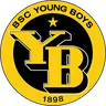 Young Boys II logo small