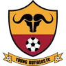Young Buffaloes logo small