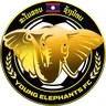Young Elephants logo small