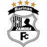 Zamora FC logo small