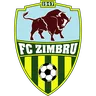 Zimbru Chișinău logo small